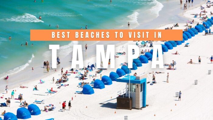 BEST Beaches in Tampa, Florida