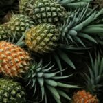 Lapanday Pineapple Farm