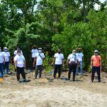Landco’s mangrove tree planting in Batangas was participated by Laiya’s local community, barangay and municipal officials, representatives from the Department of Environment and Natural Resources (DENR) and volunteers from Landco executives and staff.