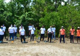 Landco’s mangrove tree planting in Batangas was participated by Laiya’s local community, barangay and municipal officials, representatives from the Department of Environment and Natural Resources (DENR) and volunteers from Landco executives and staff.