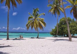 Best Tips For Holiday Travel