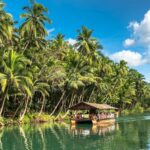 Experience cruising along Loboc River onboard a floating restaurant.