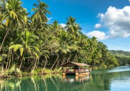Experience cruising along Loboc River onboard a floating restaurant.