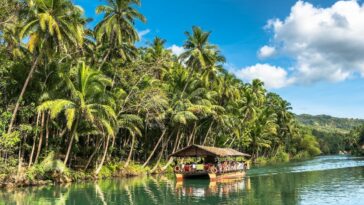 Experience cruising along Loboc River onboard a floating restaurant.