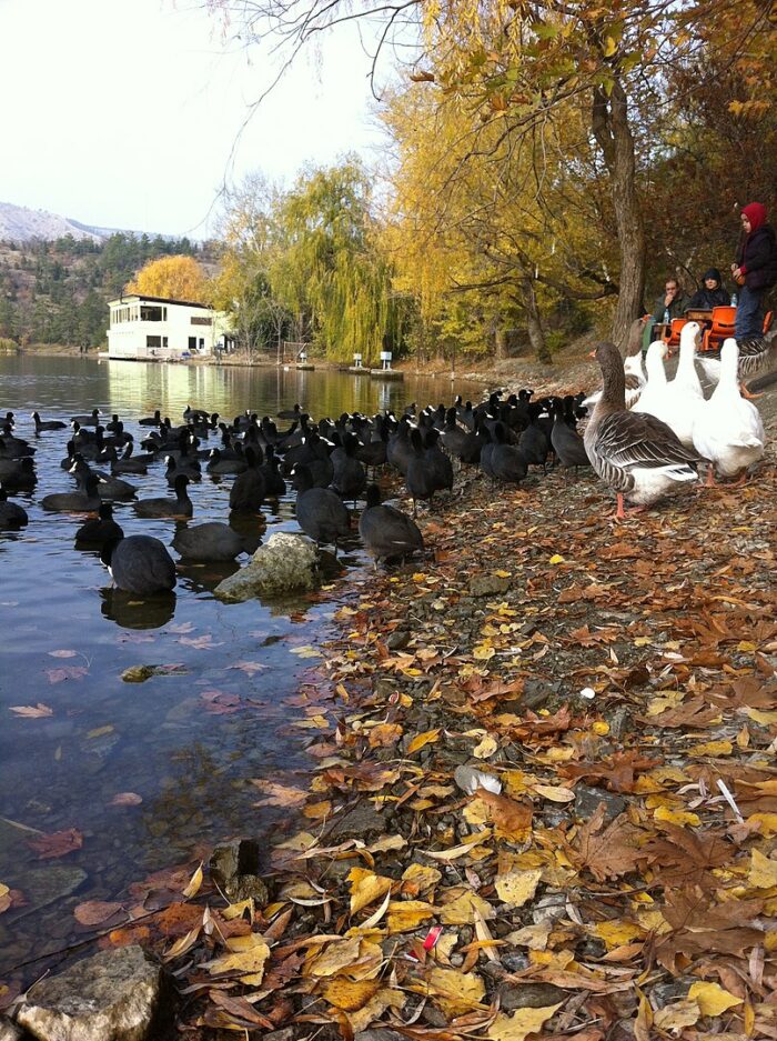 Lake Eymir by bynyalcin via Wikipedia cc