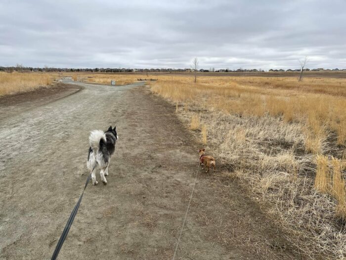 Broomfield County Commons Open Space by James Edenfield via Facebook