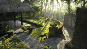 The Rise of Wellness Tourism - Medical Pavillion at the Farm