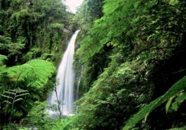 Biliran, the untouched paradise photo via Airbnb