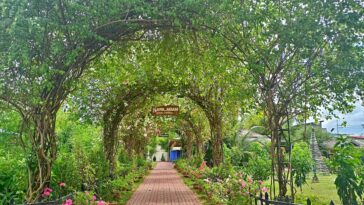 Karilagan Pavillion Grounds: "Near the Stevia Farm, guests can hold wedding receptions and other events inside Karilagan Pavillion Grounds"