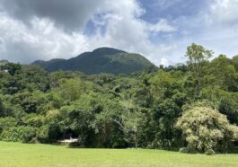 Mt. Cristobal
