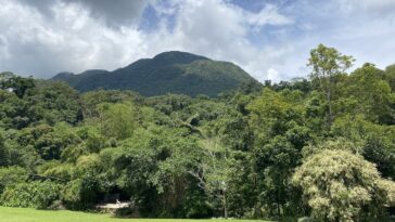 Mt. Cristobal