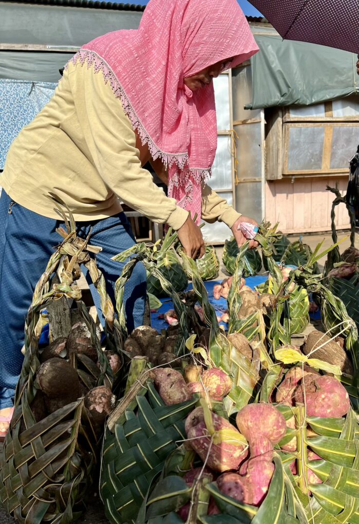 Badjao collecting her sweet potatoes after a successful barter