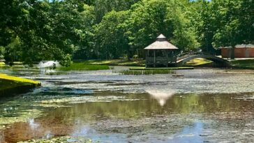 Byron Lake Park