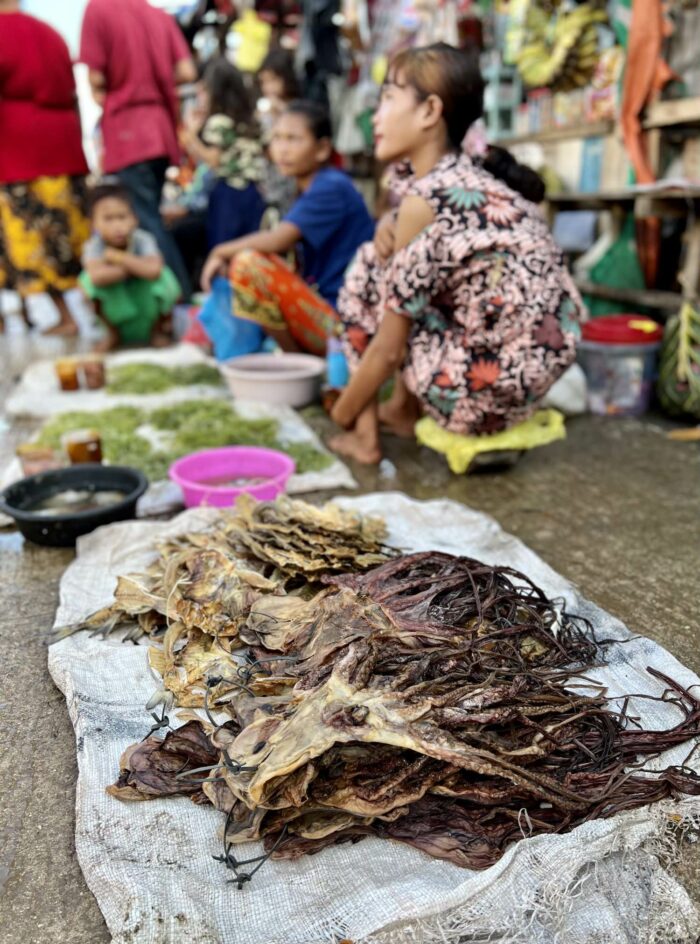 Dried Octopus from Badjao traders