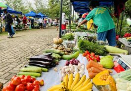 Fresh Vegetables in Valencia Farmers Market