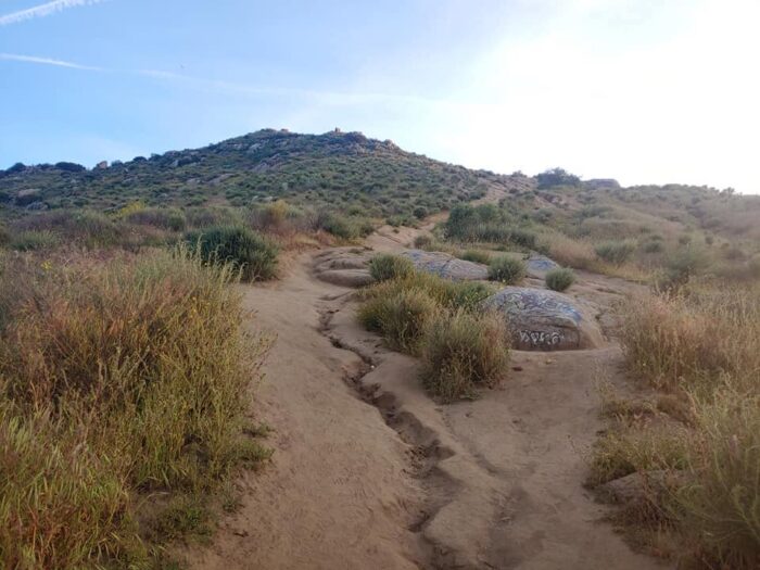 Martin Tudor-Jurupa Hills Regional Park photo via FB Page