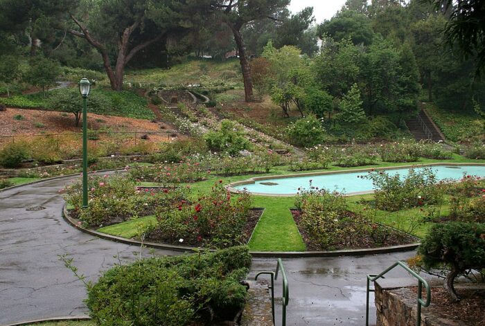 Morcom Rose Garden by Calibas via Wikimedia cc