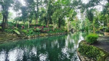 Bato Springs Resort photo via FB page