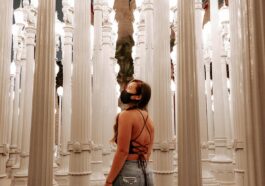Los Angeles County Museum of Art by Kevin Turcios via Unsplash