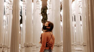 Los Angeles County Museum of Art by Kevin Turcios via Unsplash