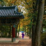 South Korea reopens to Filipino tourists in June photo via Pixabay