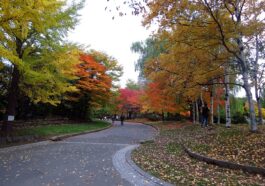 Nakajima Park by redlegsfan21 via Wikimedia cc