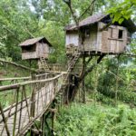 The treehouses at Capiz Ecology Park and Cultural Village