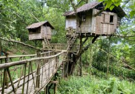 The treehouses at Capiz Ecology Park and Cultural Village