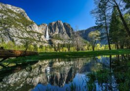 Yosemite National Park