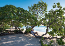 Banwa Private Island aims to be the first mosquito-free island in the Philippines