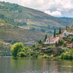 Douro Valley by Rach Sam via Unsplash