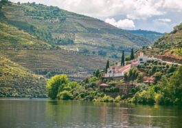 Douro Valley by Rach Sam via Unsplash
