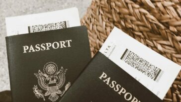 ICA Smart Services for Visitors to the UAE photo via Unsplash