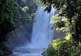 Lake Sebu, South Cotabato, Philippines by Julienne M via Unsplash