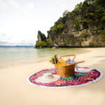 The Funny Lion El Nido