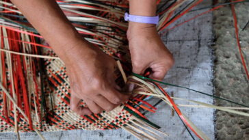 Basey Banig Weaver