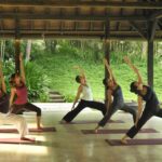 Holistic Approach to Menopausal Health