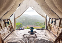A look inside the kubo