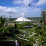 One of the eight walk-through aviaries in Bird Paradise, which soft-opens on 8 May 2023. Designed to encourage discovery at every turn, the aviaries reflect different habitats of the world such as dense African rainforests, South American wetlands and Australian dry eucalypt forests. Photo credit: Mandai Wildlife Group