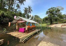 Sitio Coguitin Ecotourism and Farm