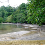 Adventure Cove
