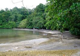 Adventure Cove