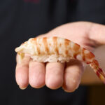 Sushi Rin Kumamoto Kuruma Ebi Prawn
