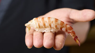 Sushi Rin Kumamoto Kuruma Ebi Prawn