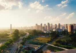 Ibirapuera Park by Felipe Barradas via Unsplash