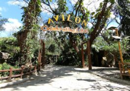 Avilon Zoo in Rizal