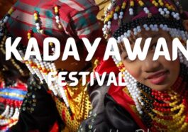Kadayawan sa Dabaw Festival