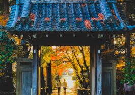 Nagoya Travel Guide by Ashirani Murata via Unsplash