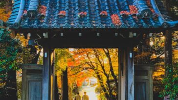 Nagoya Travel Guide by Ashirani Murata via Unsplash