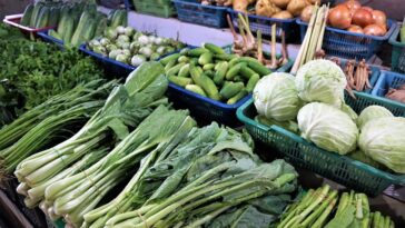 Popular Vegetables in the Philippines